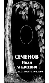 Гравировка на памятник с берёзой и серёжками
