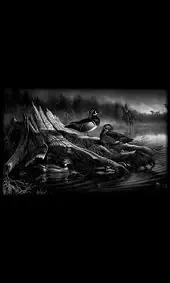 Гравировка на памятник с тремя утками у пня